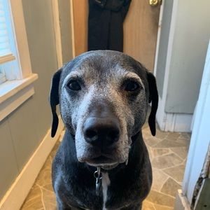 Meet your Posher, Linda